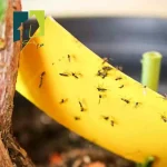 چسب پشه سه عددی - تصویر 4